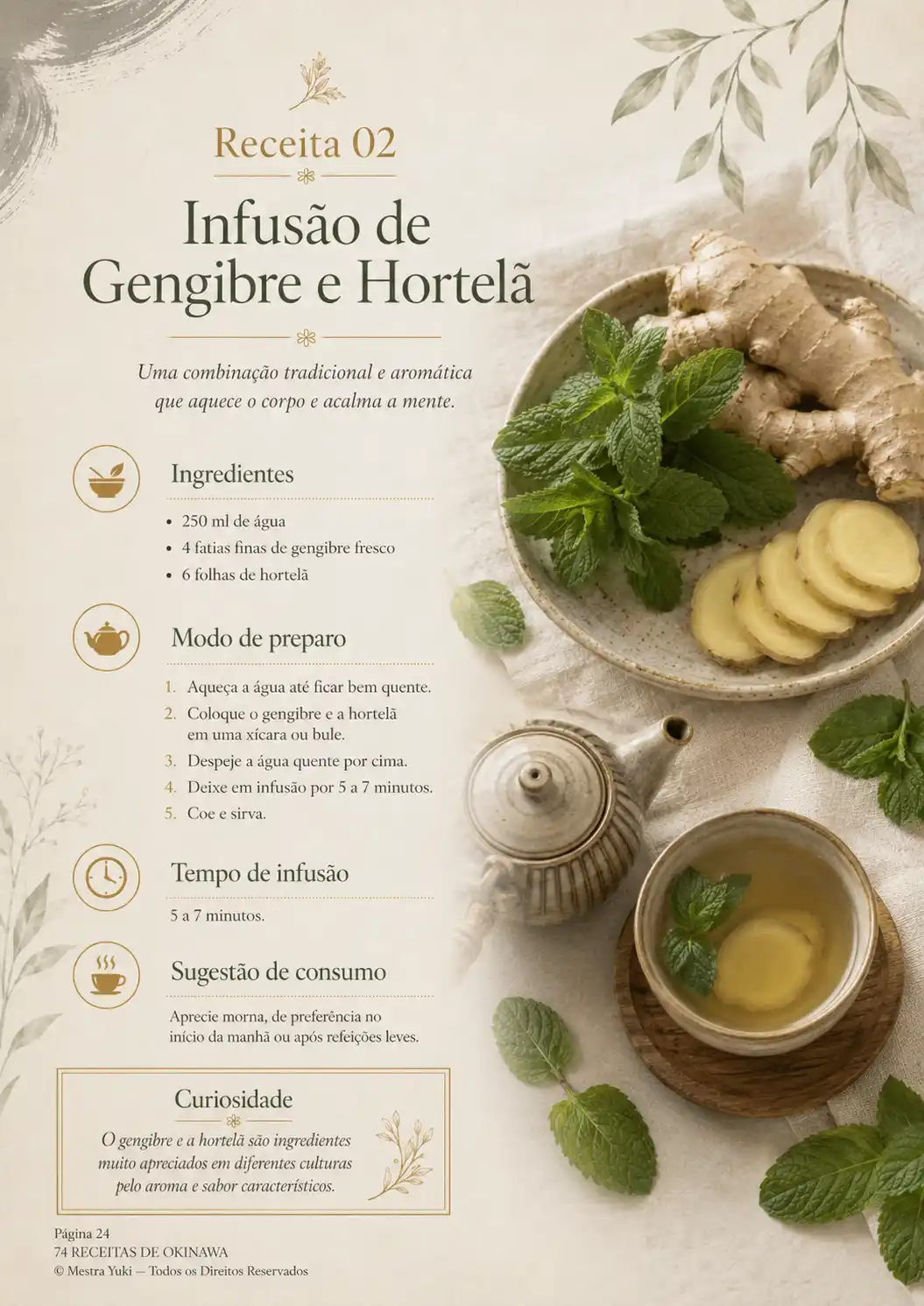 Página do material: Infusão de Gengibre e Hortelã